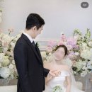 파피루스 | 구미 대구 가성비 본식스냅, 파피루스 스냅에서 11만원 할인받고 최종 계약한 솔직 후기