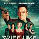 변조된 꿈 | 영화 와이프라이크 결말 정보 줄거리 출연진 후기 감상평