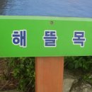 해뜰목 이미지