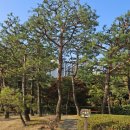 법무법인 시민 | 치과 스케일링 허위 진료후기 형사고소 필요하다면, 법무법인 모먼트 상담