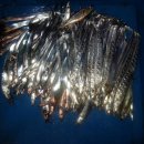 여수민박 이미지