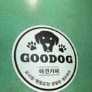 GOODOG | 제천 애견카페 구독 굿독GOODOG 방문후기