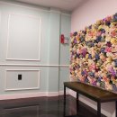 퍼니펜션 이미지