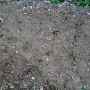 삼삼농장 이미지