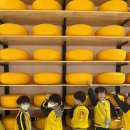 11월 5일 - 신나는 가을소풍 ＜임실치즈테마파크＞ 2🧀 이미지
