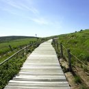 서울정석정형외과의원 이미지