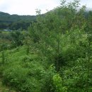 성대농장 이미지