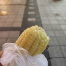 남포동 먹자골목 다녀왔어요! 길거리 옥수수 새우 먹방 후기