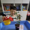 수현2농장 이미지