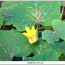 도두리길 이미지