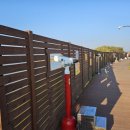 돈까스먹고가자 이미지