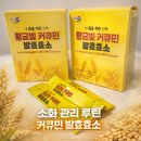 영농조합법인소청 | 진도강황영농조합법인 커큐민 발효효소 일주일 후기, 곡물발효소제 루틴 관리