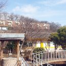 꽃게 의자 이미지