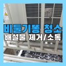 가가하우스 | 비둘기똥 청소 에어컨실외기 비둘기 배설물 청소 및 살균소독