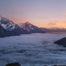 외도벨리애완견펫 | &#34;반려동물과 함께하는 국내 여행지 Best 5: 2025년 실제 방문객 후기와 전문가 추천&#34;