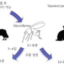 이지24시 이미지