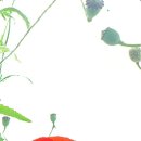 아이구루 이미지