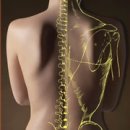 테리온 휘트니스 이미지