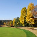 뉴코리아 이미지