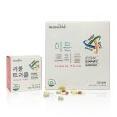 브릿지엘