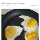 일이오