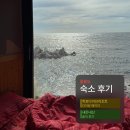 항구열쇠 | 내돈내산! 울릉도 숙소, 학포다이브리조트 2박3일 패키지 솔직 후기