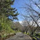 대가면 옥성리 산 30-1 | [고성 대충캠핑장] 시설·캠핑구역·뚜벅이 이동방법 완벽정리 | E사이트 후기 | 산 속 캠핑장 추천