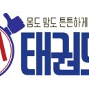 연세태권스쿨 이미지