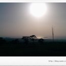 서부산업도로 이미지