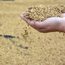 양지농장1 이미지