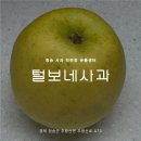 청송사과유통센터 주왕산 APC | 청송 사과 직판장 털보네사과 흠과부터 선물세트까지