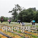 신태인읍사무소 이미지