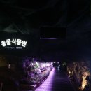 광명 꽃 수족관 이미지