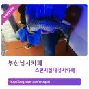 스펀지실내낚시카페 이미지