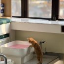 (주)리얼컨텍 | 베트남 마사지 천춘 TOPSPA 2호점｜사상역 근처 두피·귀청소·전신관리까지 현지인 손맛 그대로 리얼 후기