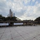 어린이교통공원 | {다시 걸을 수원} 미래의 한국 도로교통 청사진을 그리는 곳 - 수원어린이교통공원