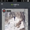 사월의눈