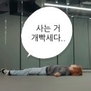 지피미 | 엔시티위시 대만콘 / 아워위시 인 타이페이 / NTSU ARENA 스탠딩 후기 (부제 : 표독함 속에서 살아남기)