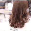 리안헤어(센트럴파크점)