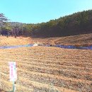 좋은친구공인중개사사무소 이미지