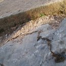 그리스장 이미지