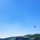 신정호수상레저