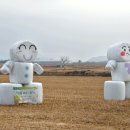 스마일축산 이미지