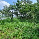 행복나무공인중개사사무소 이미지