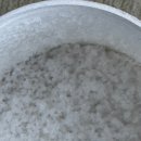 수출의다리 하부 | 소금, 인류 최초의 플랫폼