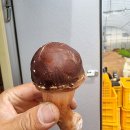 주식회사 더원엘 네이버블로그