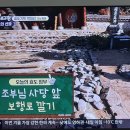 함평해수찜 이미지