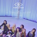 퍼플키스 카카오 검색결과