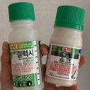 늘푸른 농약사 네이버블로그