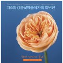 부부플라워샵강릉